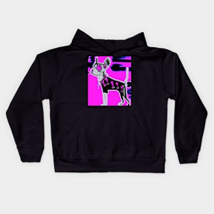 Dogfash Kids Hoodie